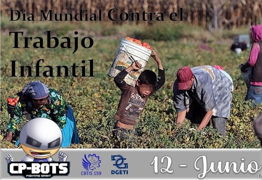 CP_BOTS's tweet photo. Excelente domingo para todos ✨

Hoy es un día para concientizar sobre la grave situación de niños, niñas y adolescentes que diariamente sufren una explotación laboral

La cantidad de niños que trabajan actualmente es de 160 millones en todo el mundo

#CpBots #fightingspirit https://t.co/VZs7GpHWKl