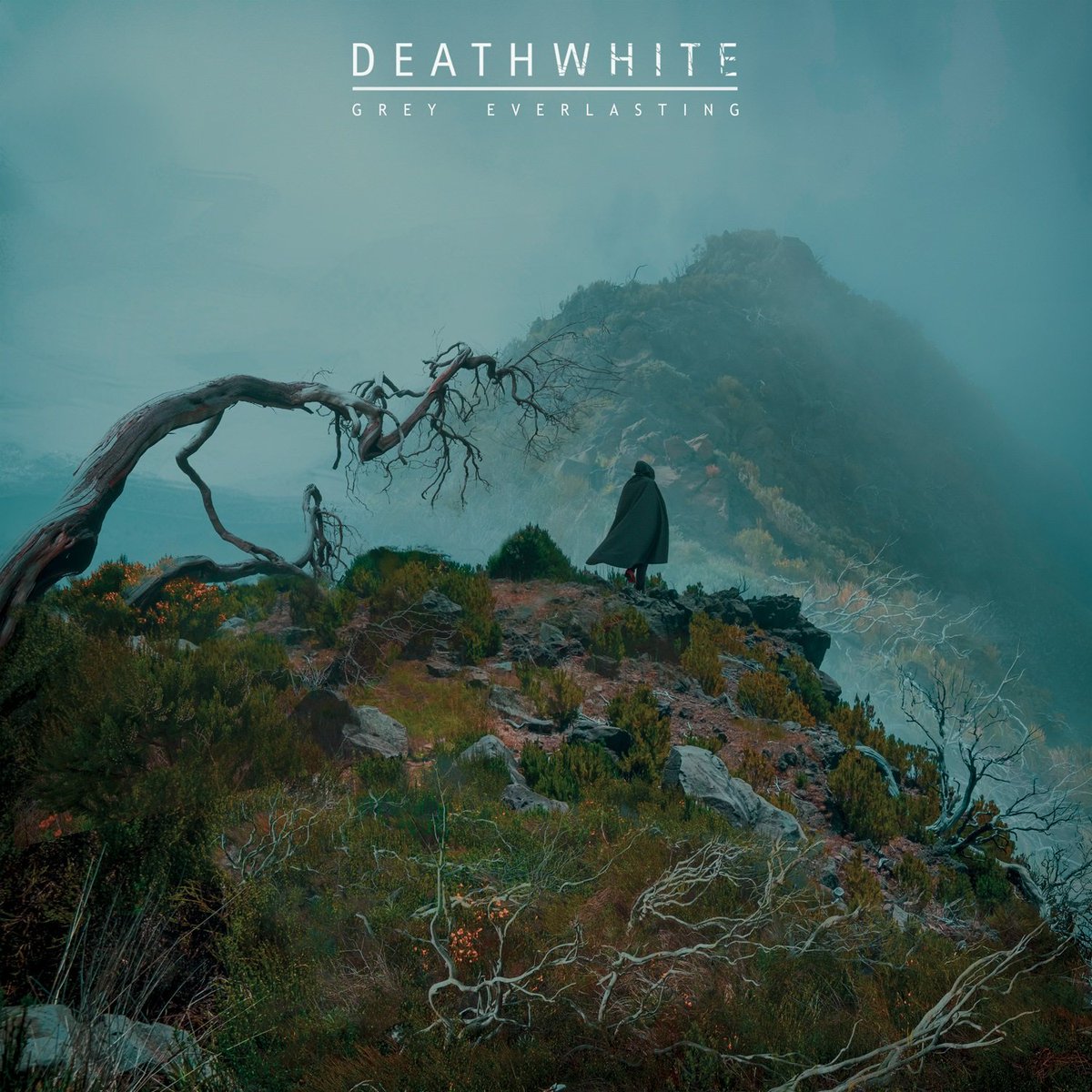 MetalGuardianes's tweet photo. 🔥 Novedad 🔥
🇺🇸 Melodic Doom Gothic Metal, 3er álbum
#Deathwhite "Grey Everlasting"
Embriagador, cautivador, melancólico por momentos, un sonido que te atrapa y no te suelta, no os lo perdáis 🤘🤘🤘
Gracias a mi amigo @Tmetalicoweb por ponerlo en mi radar
https://t.co/TRmSlaXOPg https://t.co/WYRYZc1QTq
