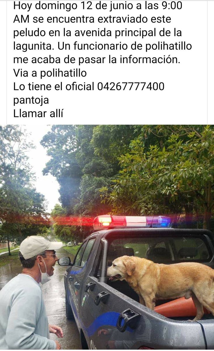 PerroUsuario's tweet photo. Buscan a su familia, La Lagunita https://t.co/FCZ7jf0kBX