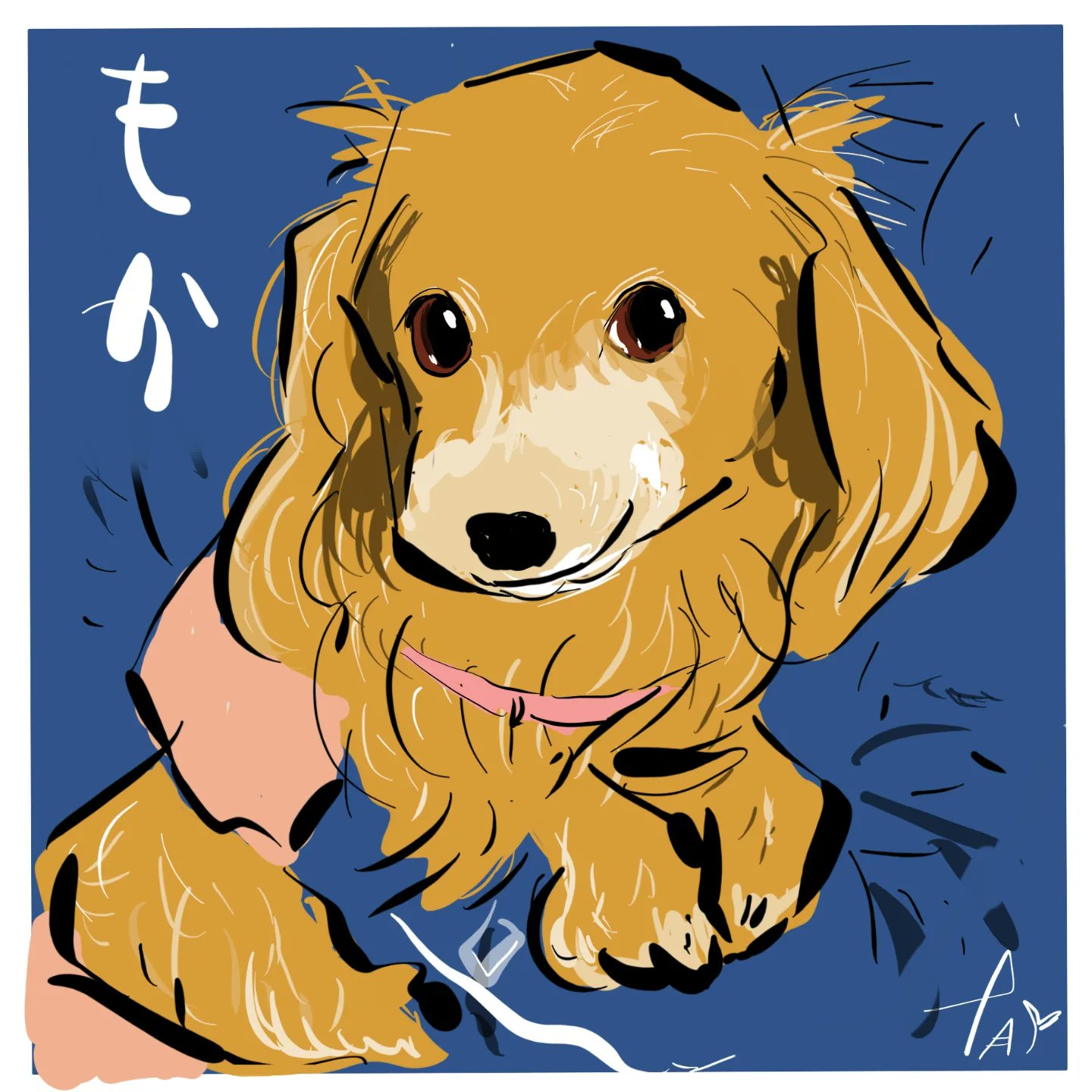 犬キューピット By 郁実ひよと Inu Cypid Twitter