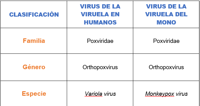HILO: El variola virus y el Monkeypox virus pertenecen a la misma familia y género, por tanto tienen respuesta inmunitaria común (inmunidad cruzada). Eso significa que la persona vacunada contra la viruela, tiene resistencia ante la Monkeypox.