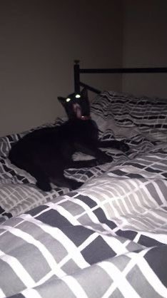 completely  lost  muse  bc.  of  the  endless  drama  and/or  problems  that  happen  in  this  verse.

actually  worse  than  any  other  verse  i’ve  been  apart  of.