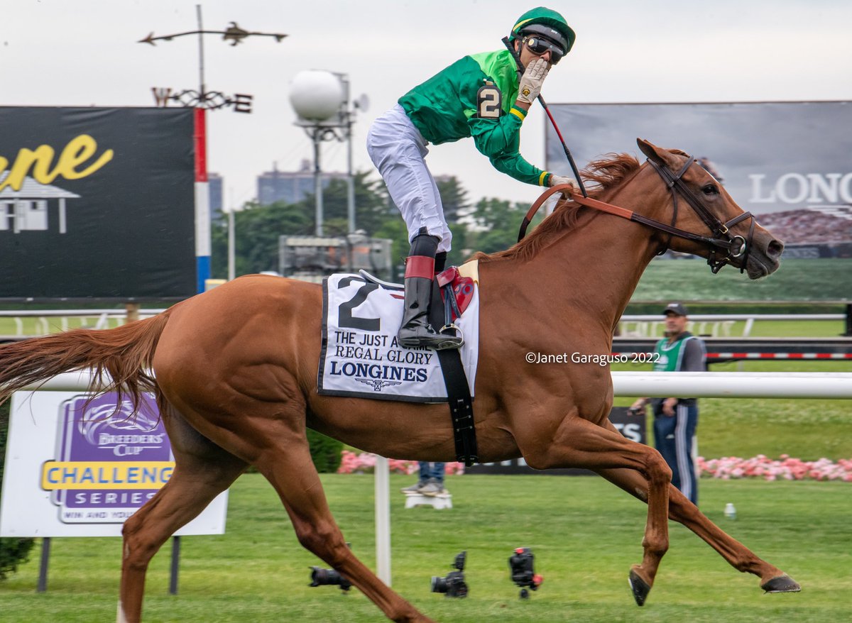 jmg27_janet's tweet photo. REGAL GLORY and @jose93_ortiz were glorious in the Just A Game Stake! What a mare! @TheRealChadCBr1 #peterbrant https://t.co/oDiQJ2nIOH