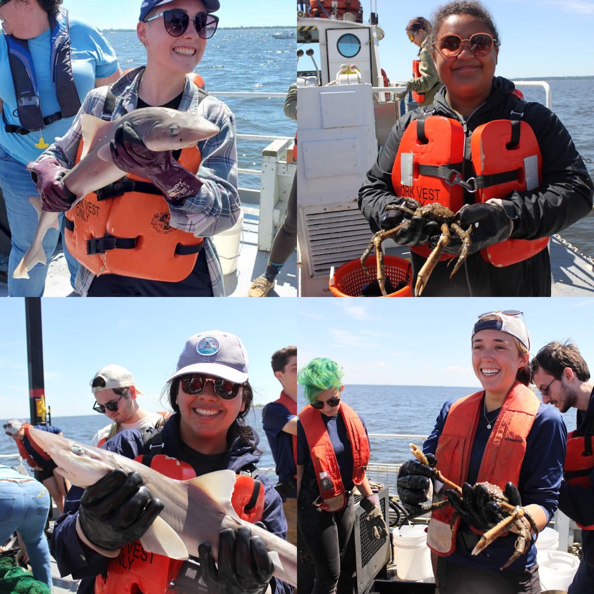 MASTResearch's tweet image. Had a fabulous all hands on deck vessel trip with @MAST_SandyHook seniors and the @NOAA IN FISH! Interns. We caught 33 dog sharks and made some marine science connections from around the country. Special thanks to @Jim_Nickels and the rest of the Monmouth faculty!!