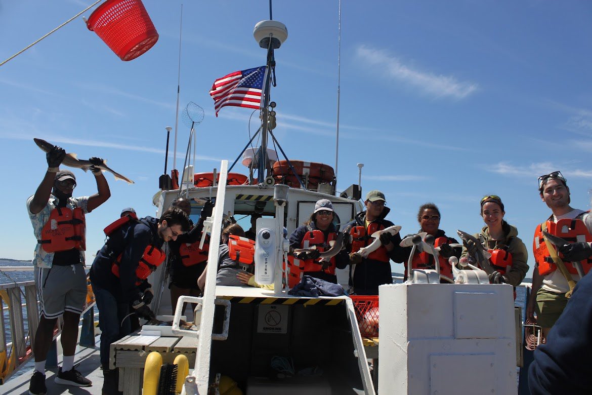 MASTResearch's tweet image. Had a fabulous all hands on deck vessel trip with @MAST_SandyHook seniors and the @NOAA IN FISH! Interns. We caught 33 dog sharks and made some marine science connections from around the country. Special thanks to @Jim_Nickels and the rest of the Monmouth faculty!!
