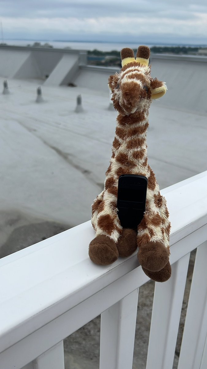 SmarkleOfficial's tweet photo. Smarkle rocking the hardware wallet accessory today #wheressmarkle 

@Trezor https://t.co/X0uTT8uJbZ