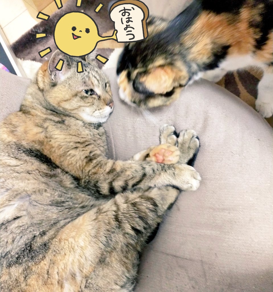 おはよーございます!
2度寝で眠い!!! 