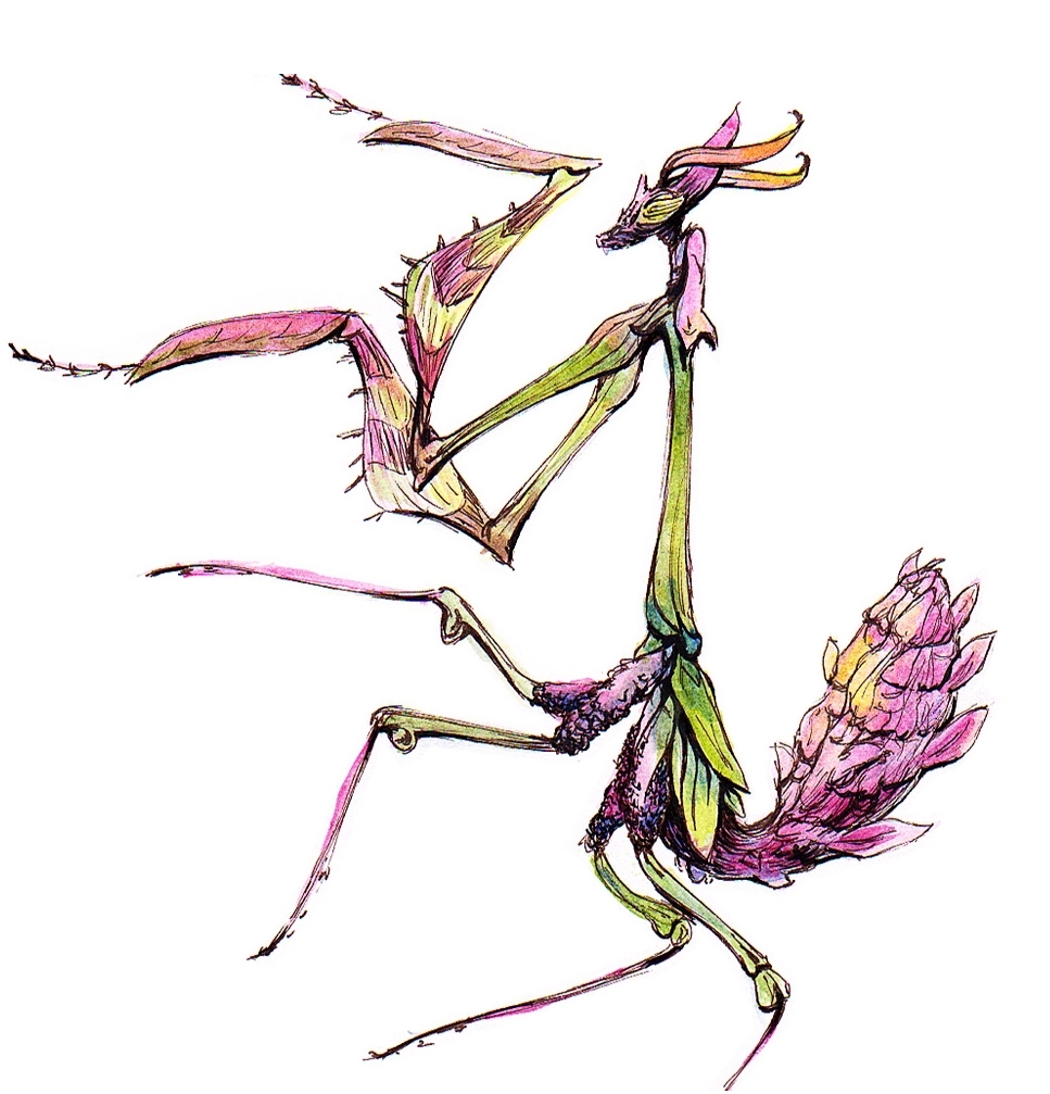 Mantis (@themantisfarm) / Posts / X