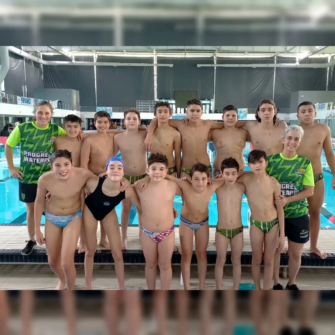 Progre WP tweet media