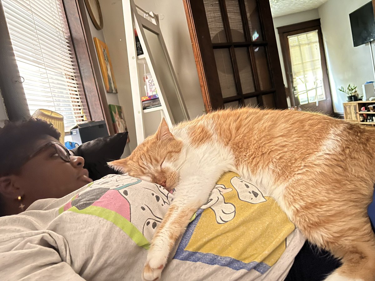 justkorihere's tweet photo. Max loves the titty #kittyontitty https://t.co/jCIR3DeBNT