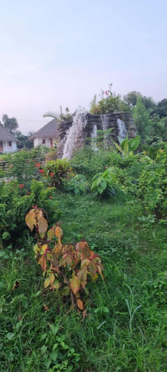 IBRAHIMBABA6's tweet photo. Village Noah super endroi a visiter https://t.co/ECgsIMG8VE