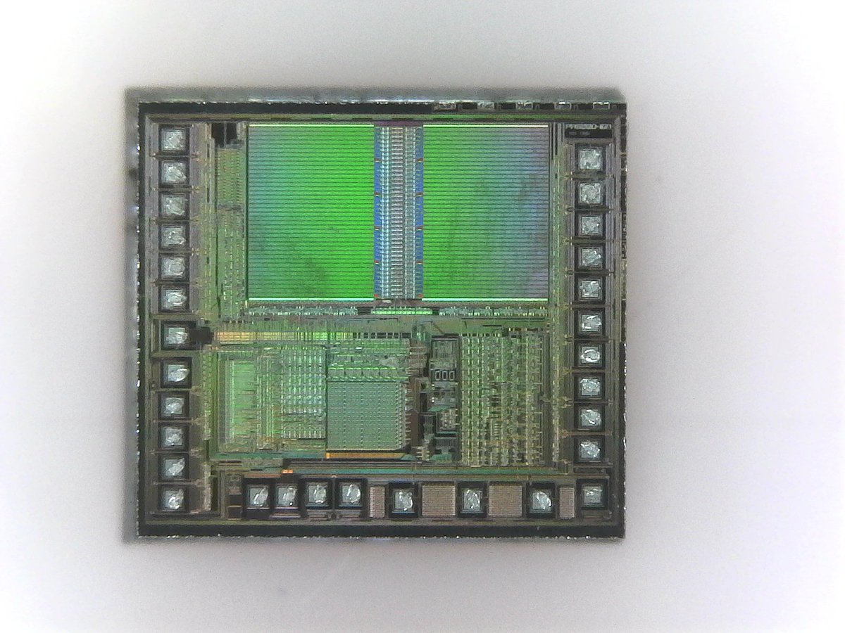 seantaylorm's tweet photo. @johndmcmaster Same IC as in a Furby! SunPlus SPC81A if the internet is to be believed. https://t.co/Qjesk11U3S