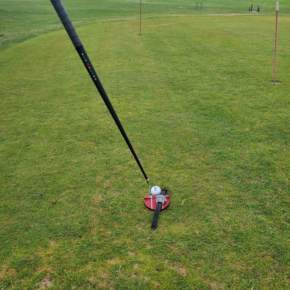 HagerWatches's tweet photo. @BloodlineGolf https://t.co/Zt8SUOTT6D
