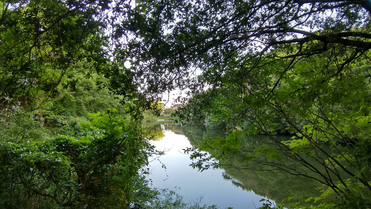 おはようございます😊
失敗しても、うまくできなくても、できると思ってやればできるようになる。
失敗が多いほど、うまくできないことが多いほど、すばらしい成功につながる。
できると信じてやり続ければ必ずできる。
#おは戦40615js🌊
