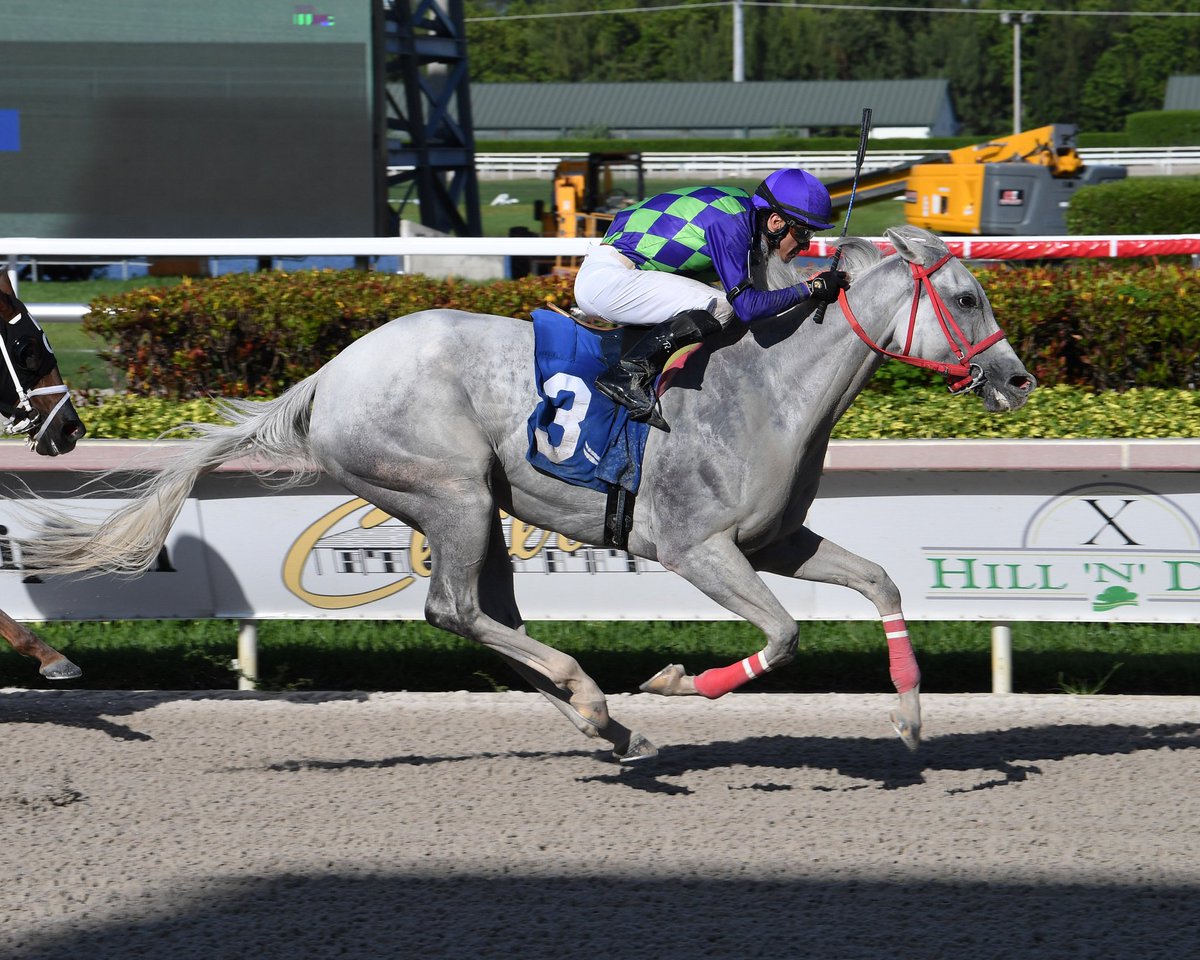 GulfstreamPark's tweet photo. Let's Be Honest, with @LeojockeyReyes, prevails in race 12 for trainer Enrique Torres and owner Stud Locos  y Viciosos Corp. #GulfstreamPark #RoyalPalmMeet https://t.co/4UAX1emqOV