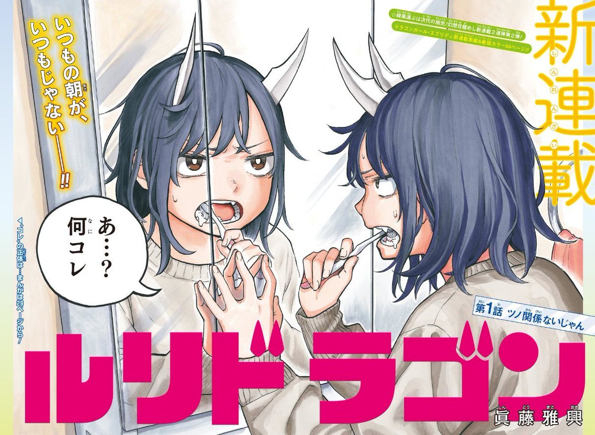 Amazon.co.jp: ルリドラゴン ポスター : おもちゃ