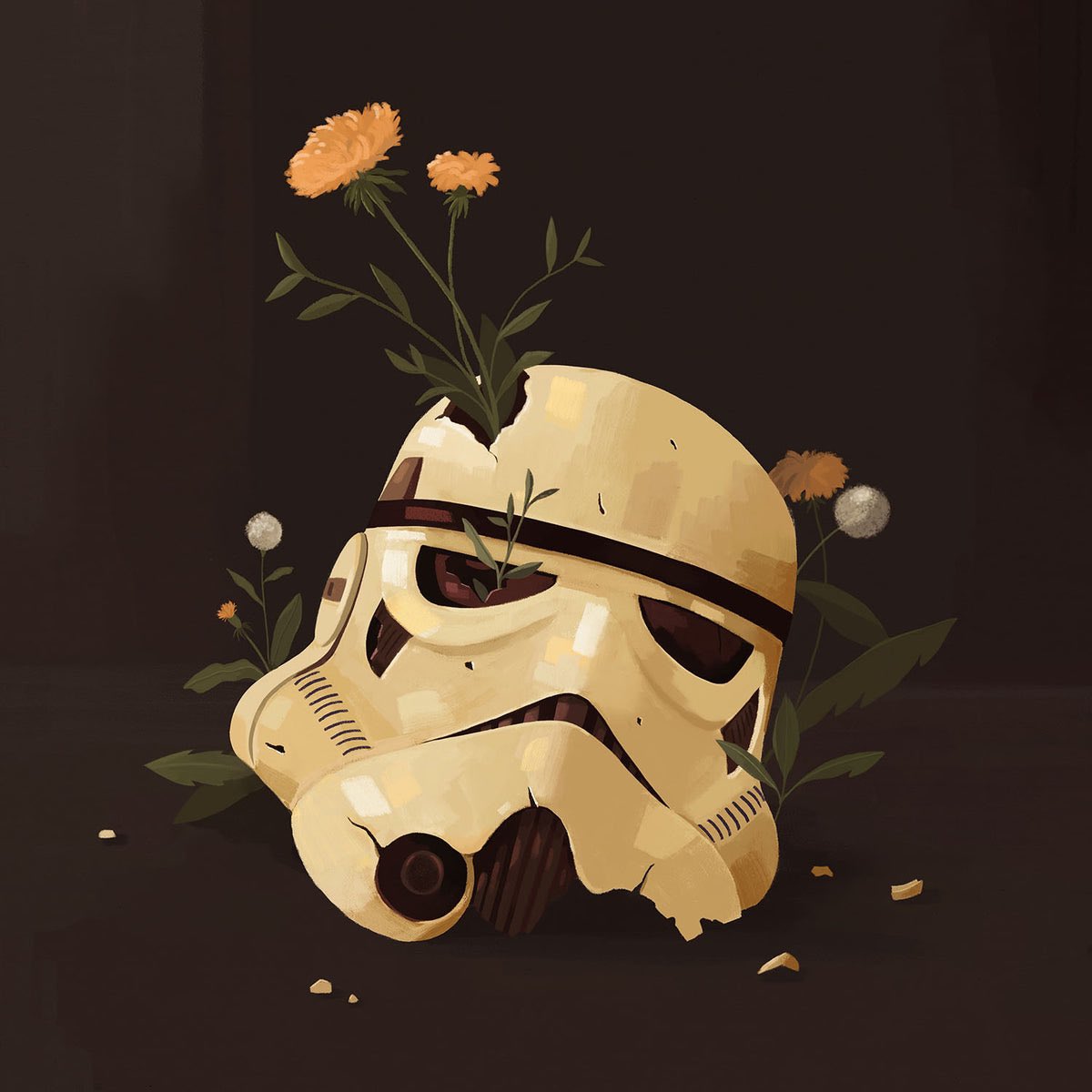 Shannon Wild Smith tweet media