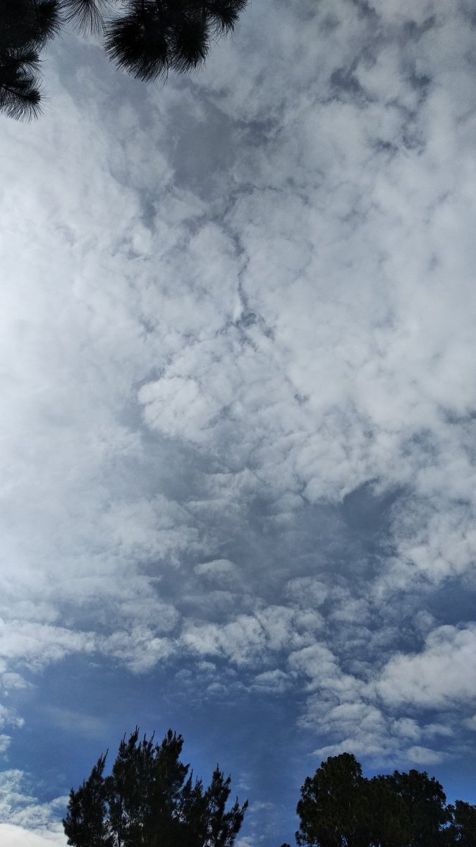 El cielo estaba tan bonito y me acompañó a llorar el día de hoy.