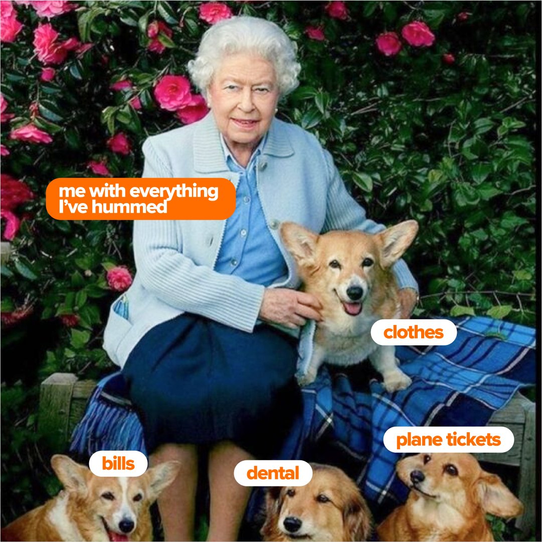 Happy 96 to the Queen! 

Love, 
the humm meme queens

#queensbirthday #shophumm #humm #buynowpaylater #theBIGGERbuynowpaylater #easyinstalments #interestfree