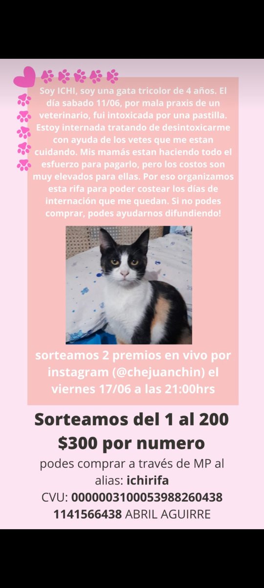 lagoenelcielo_'s tweet photo. por fa difundan y si está dentro de sus posibilidades ayudar, se aprecia mucho 🙏 https://t.co/Rto5nEYKrF