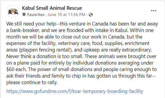 📢Charlotte is heading back to Kabul on Tuesday! I need all of you in a #KSARtweetThunder ‼️💗
Can we do it⁉️
Let's do some magic‼️🥰

➡️gofund.me/39c8d6dc

#KSAR 
#IStandWithCharlotte
#CharlotteMaxwellJones
#KabulSmallAnimalRescue