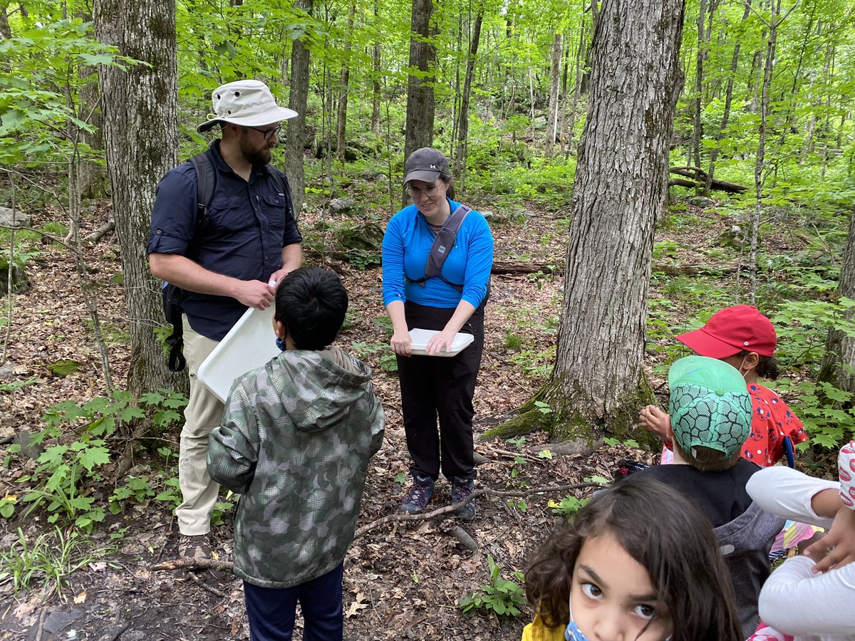 Room208 : The Burrow tweet media