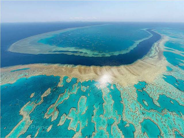 Socceroos's tweet photo. @peru Hi @peru, we remember the #FriendlyGroup ๐ค from 2018, fondly! Looking forward to the match. In the meantime, here is Australiaโs beautiful #GreatBarrierReef ๐ชธ๐ https://t.co/uxrUdEpVmK