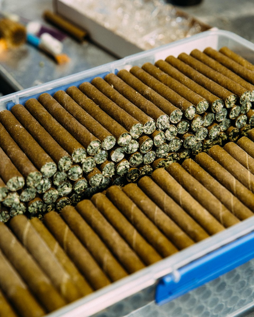 Cookies 🍪 on Twitter "cookies { Delta 8 } and { HHC } blunts start with the highest quality