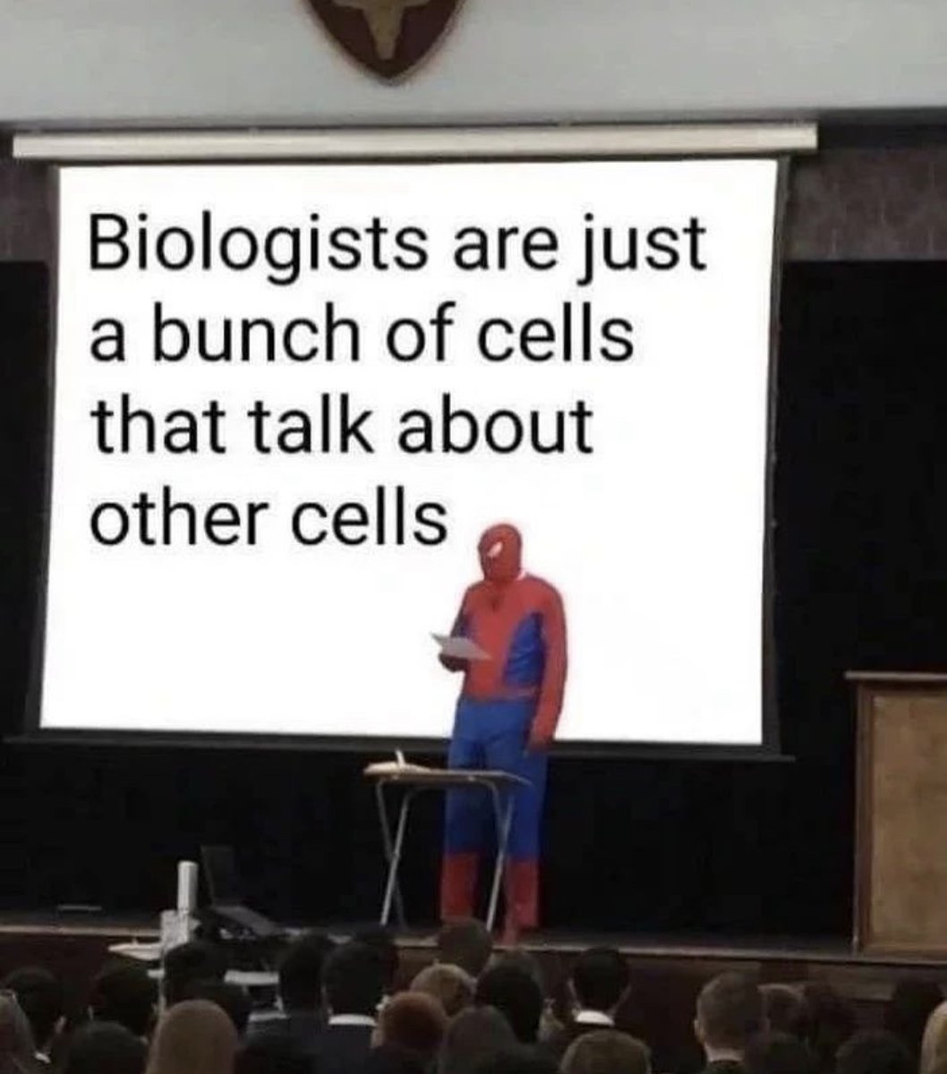Respectful Memes (@respectfulmemes) on Twitter photo 