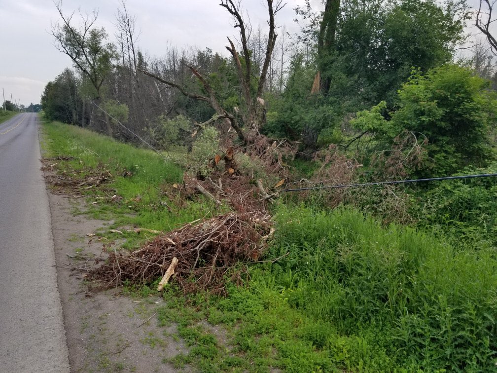 Carin_Harris's tweet photo. @ClaringtonON @HydroOne Line down now on the west side of Liberty, north of Con6, but south of Archibald's. Wire didn't snap yet, but someone should be working on it. https://t.co/2YdeqxaYuj