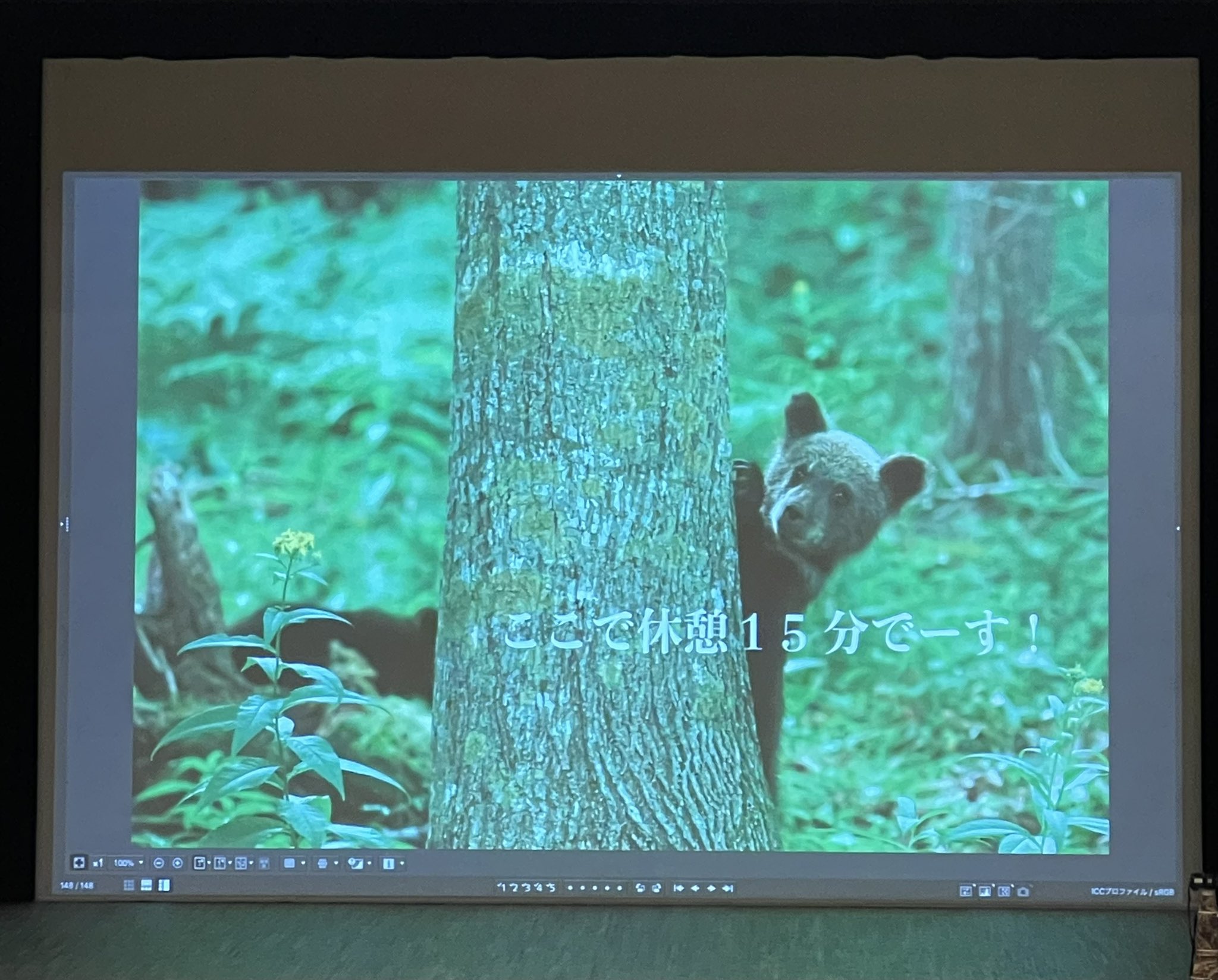 ポプラ綿毛 Twitter Search Twitter