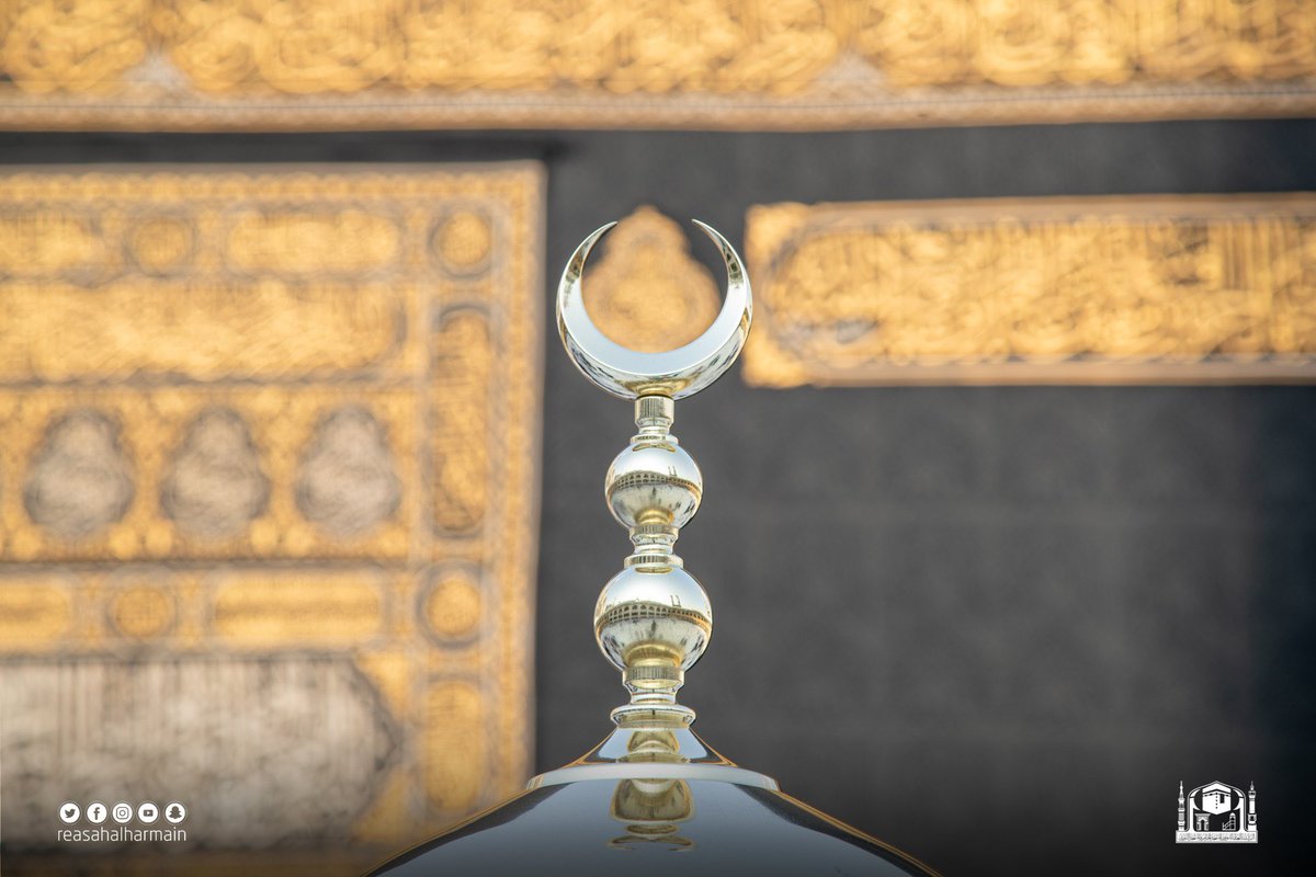 𝗛𝗮𝗿𝗮𝗺𝗮𝗶𝗻 tweet media