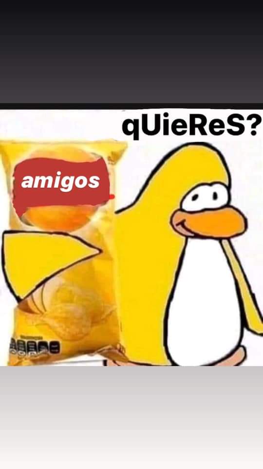 MonasChinas tweet media
