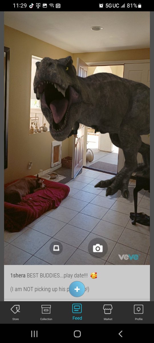 SheilaC16944497's tweet photo. Vega's new friend is over to play but I am NOT picking up the poop!!! 🤣 #veve_official #VeVeCommunity #vevecollectibles #VeVeFam #vevefam_ #DavidYuNZ #Daniel00077 #TRex #JurassicWorldDomination #NFTs https://t.co/TboA0Kmlr4