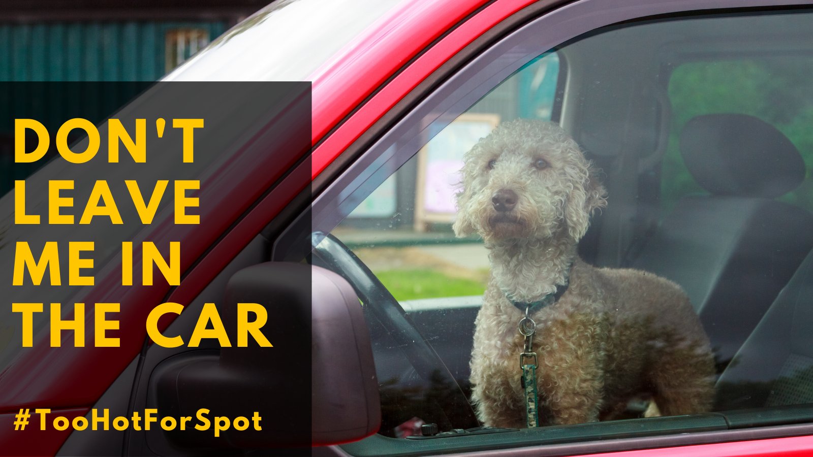 How Long Does It Take For A Dog To Suffocate In A Car