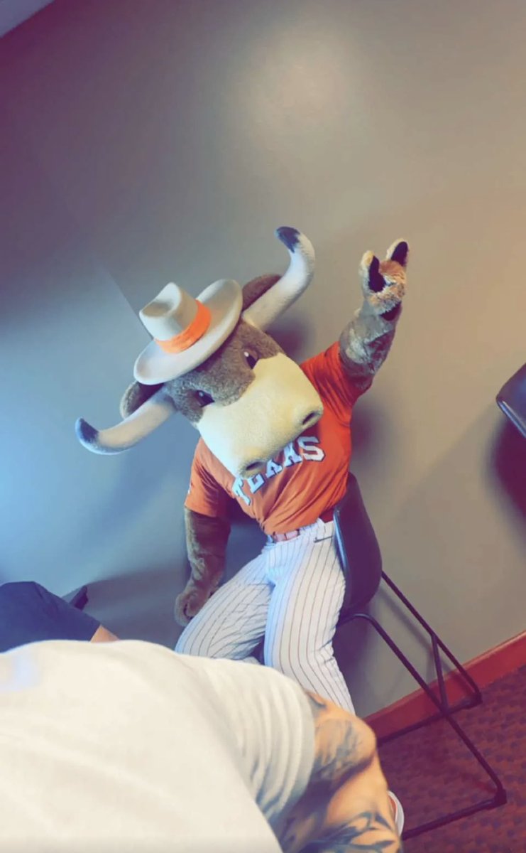 VSspotlight's tweet photo. @UTBarstool Bevo in the box, beating the heat. 🤘🏼 https://t.co/PQn8aSYNpp