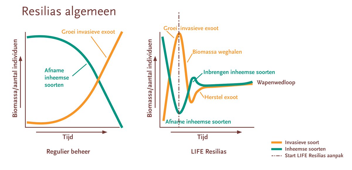 Heeft u zich al ingeschreven voor de <a href="/LIFEprogramme/">LIFE Programme</a> LIFE #Resilias Kennisdag van 23 juni? Mooie kans om via presentaties en veldexcursies meer te weten te komen over de #ecosysteemaanpak van invasieve exoten. Deelname is gratis. Inschrijven kan tot morgen: resilias.eu/nieuws/inschri…