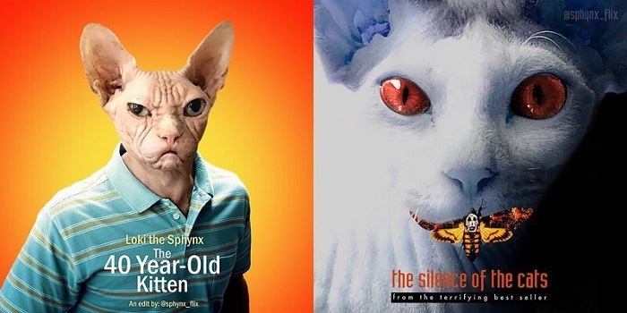 Poster Filem Parodi Kucing #Seni Visual Klik Sini Untuk Lihat Spenuhnya ift.tt/iSDbQ51