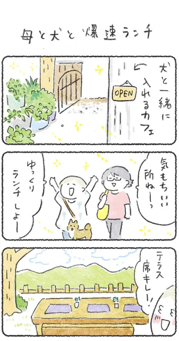 カフェ来たけど犬がイヤがるなら爆速で終了よ😊👍

(1/2)
#豆しばこつぶ 