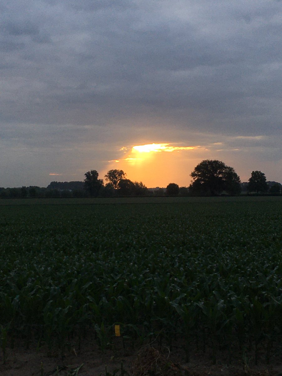 Peter30775782's tweet photo. If there is an opening at the right place you get the most beautiful and surprising results #sunrise #solutions #politics https://t.co/zH7Q4krzFl