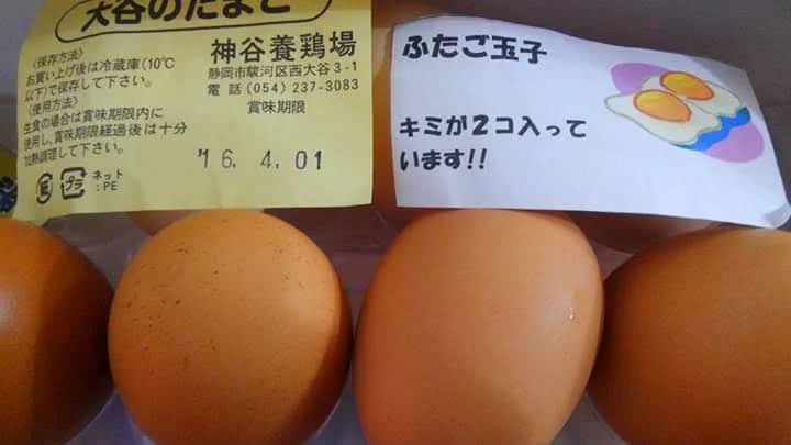 以前養鶏場で「ふたご玉子」が売られてて全て双子でした。
大きめで、尖ってると双子だったような？  