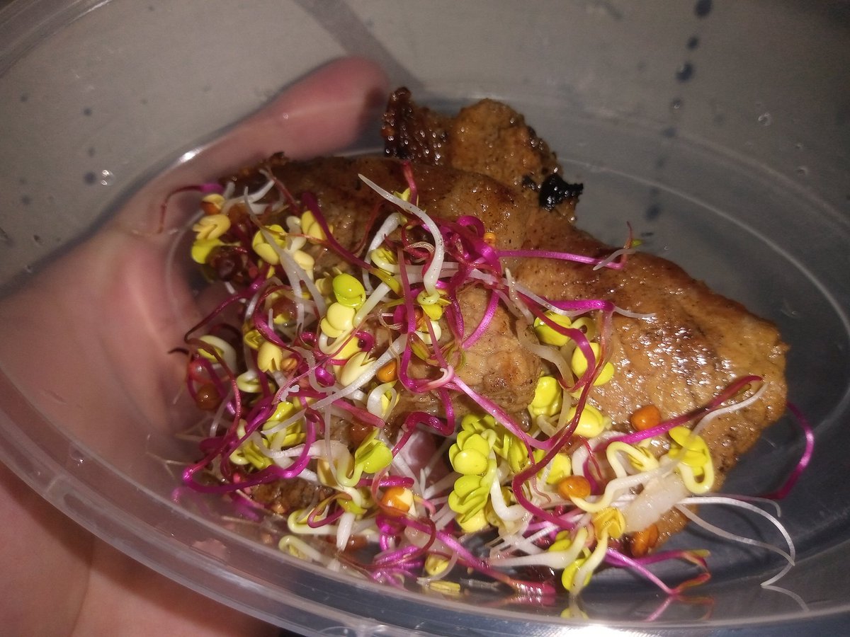Lunch for today pork chop with radish kaiware and red beet sprouts I've grown after few days 😍🍽️