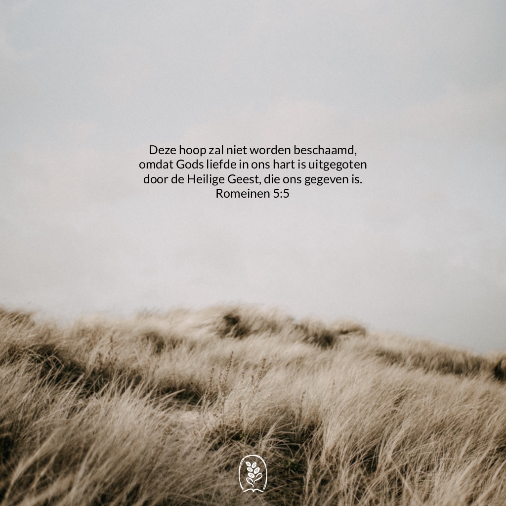 Deze hoop zal niet worden beschaamd, omdat Gods liefde in ons hart is uitgegoten door de heilige Geest, die ons gegeven is. Romeinen 5:5