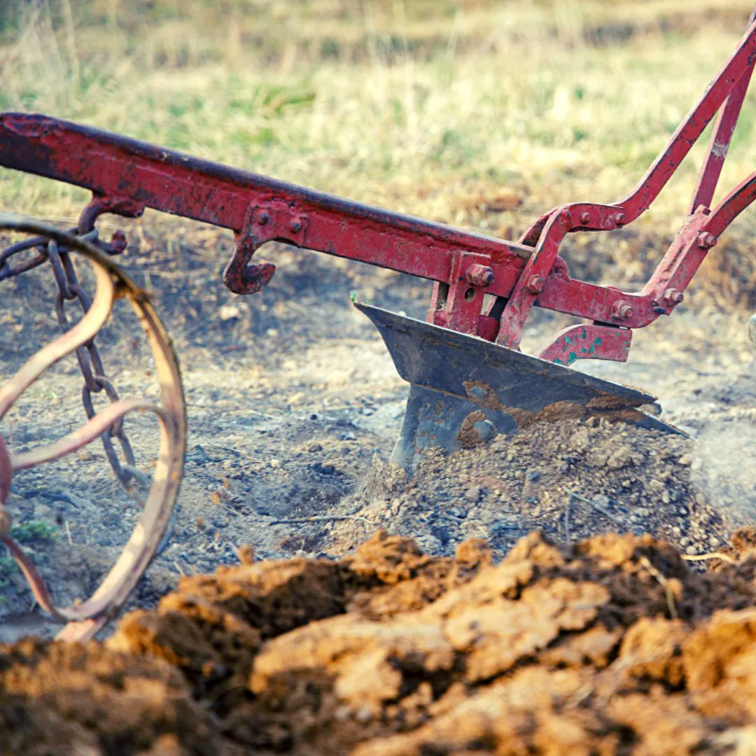 UCF_Zambia's tweet photo. Ploughing stage involves loosening and digging the soil. This process can loosen the soil and carry the soils rich nutrients to the surface.
#unitedcapitalfertilizer #growingmaize #fertilizerzambia #proudlyzambian #wonderfulgroup #zambia https://t.co/O0xsGYWerx