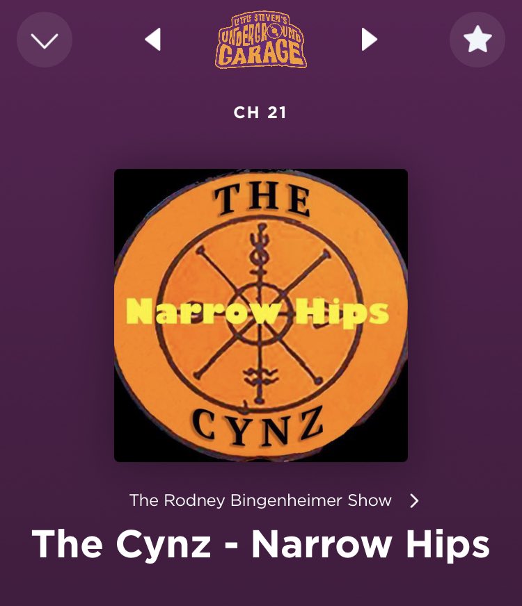 #TheCynz #LittleStevensUndergroundGarage #RodneyBiggenheimer #NarrowHips #LSUG