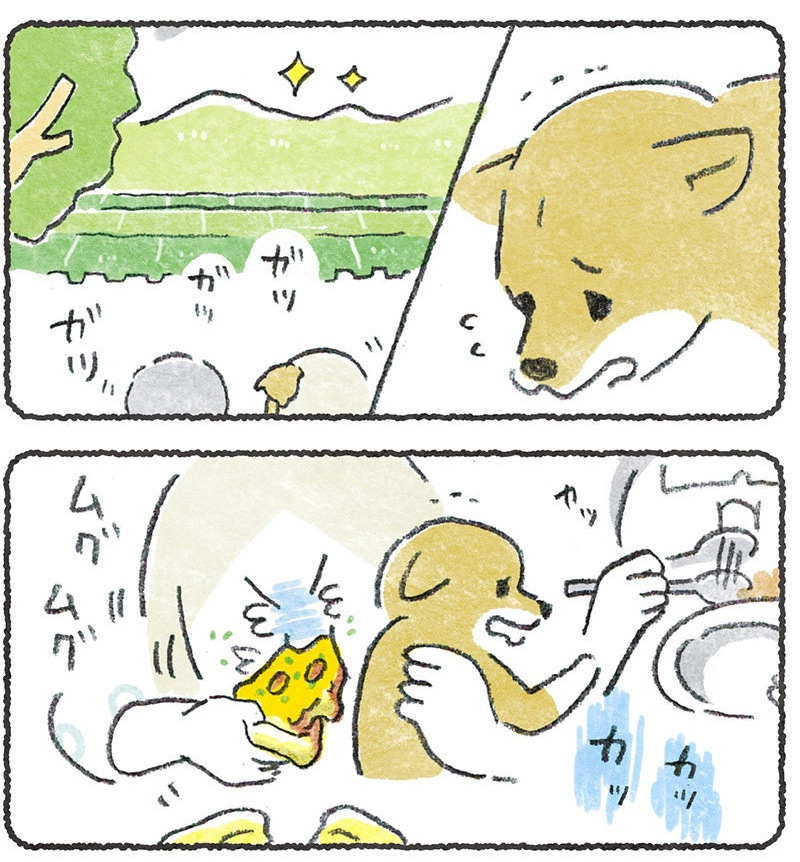 (2/2)

第194話★
https://t.co/hNugfqv5g2

この他2本、URLから↑🙏

毎週月よう朝10時更新、
24時間無料公開です〜😄🌸 