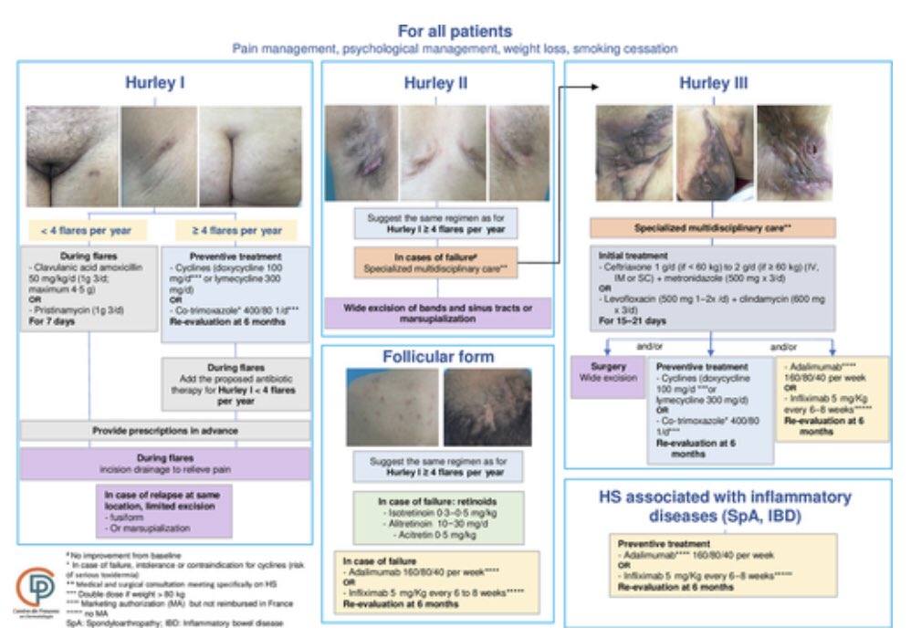 julianconejomir's tweet photo. Guía de manejo francesa para hidradenitis supurativa. https://t.co/llpb3q457B 👇👇👇 https://t.co/5BlGAGgCGr