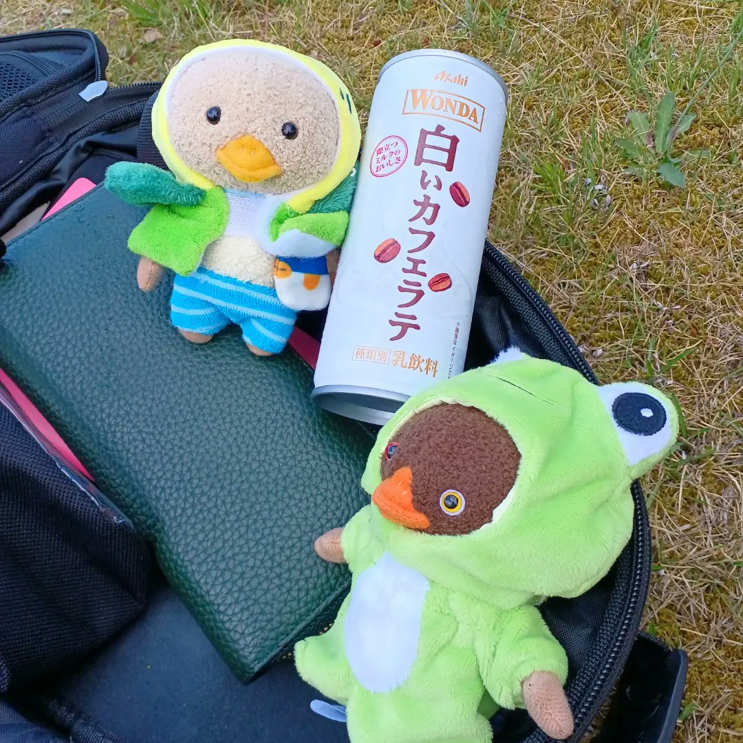 大島半島 Twitter Search Twitter 大島半島 Twitter Search Twitter