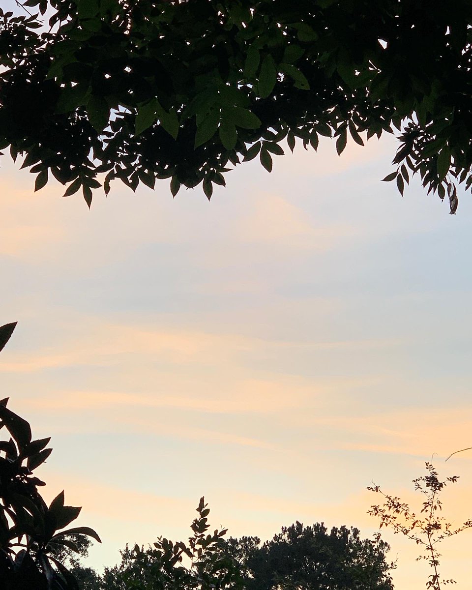 okamoto_sandra's tweet photo. Good night, Columbus! The sun is slowly setting and the waxing gibbous moon, at 97.2%, is rising. #ColumbusGA #06/12/2022 #afewclouds #warm #veryhumid #nobreeze #cicadasveryloud #neighborsdogsbarking #mymoonobsessioncontinues https://t.co/A0N7civ4jz