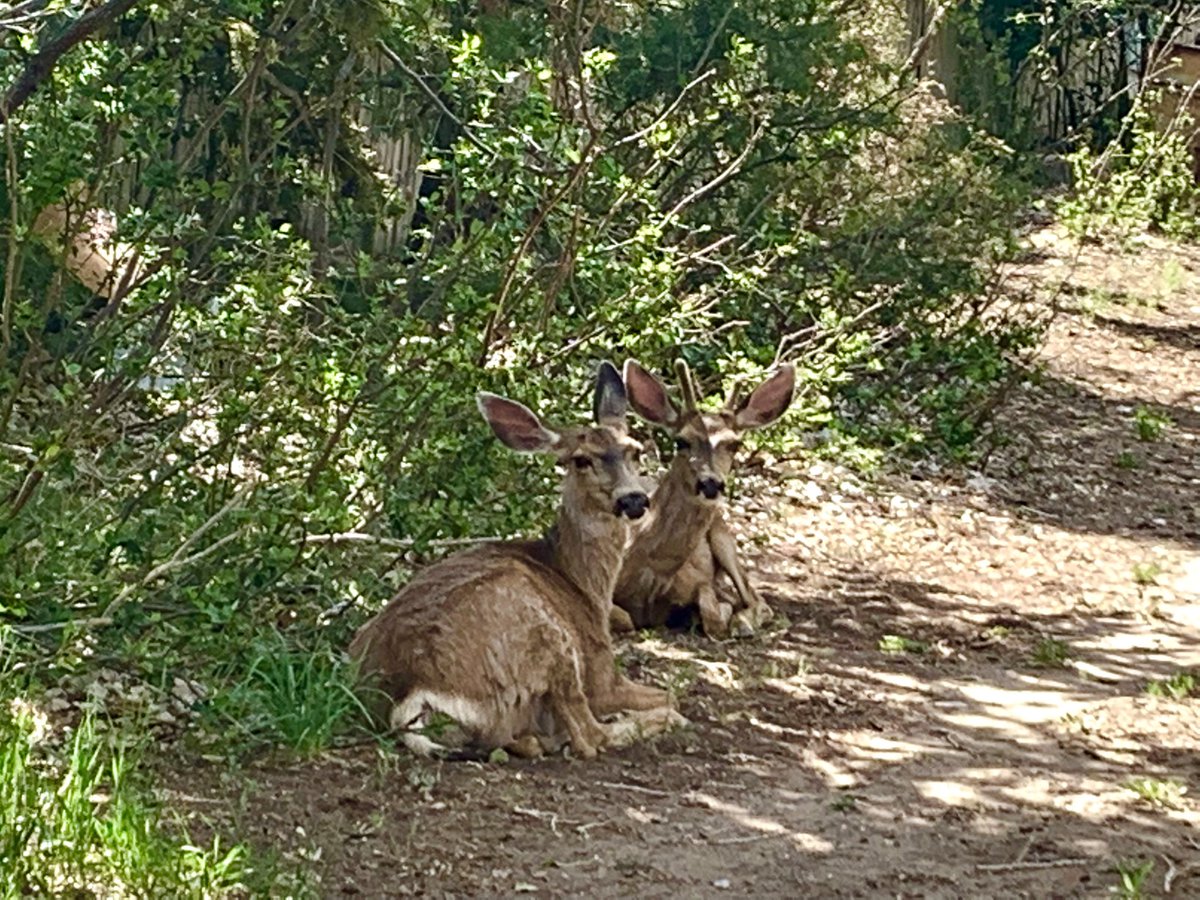 Relaxing with the neighbors on a Sunday afternoon.